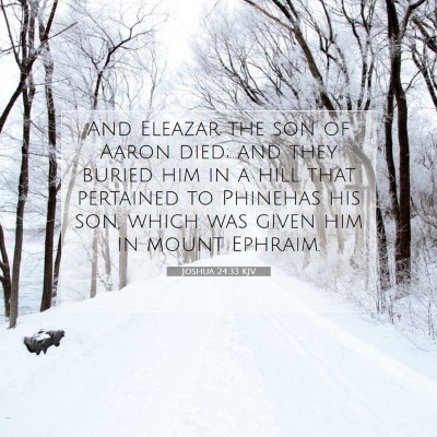 Picture 07 - Joshua 24:33 KJV - And Eleazar the son of Aaron died; and they - Bible Verse Picture