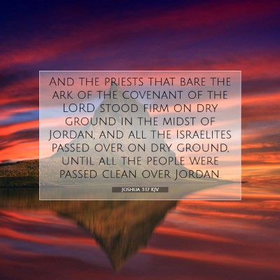 Picture 07 - Joshua 3:17 KJV - And the priests that bare the ark of the covenant - Bible Verse Picture