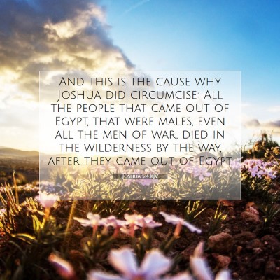 Picture 07 - Joshua 5:4 KJV - And this is the cause why Joshua did circumcise: - Bible Verse Picture