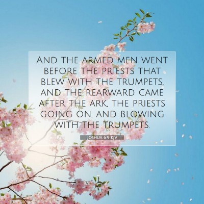 Picture 07 - Joshua 6:9 KJV - And the armed men went before the priests that - Bible Verse Picture