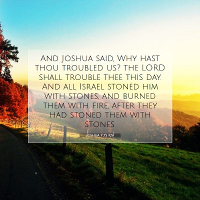 Picture 07 - Joshua 7:25 KJV - And Joshua said, Why hast thou troubled us? the - Bible Verse Picture