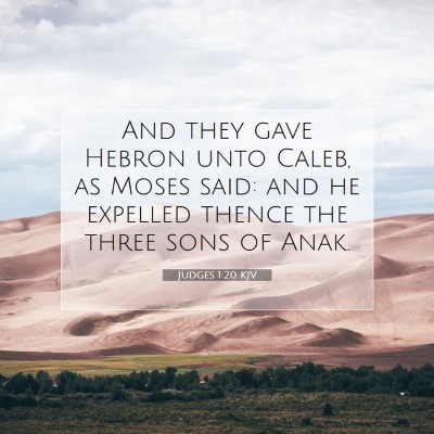 Picture 07 - Judges 1:20 KJV - And they gave Hebron unto Caleb, as Moses said: - Bible Verse Picture