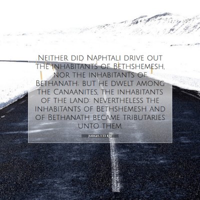 Picture 07 - Judges 1:33 KJV - Neither did Naphtali drive out the inhabitants of - Bible Verse Picture