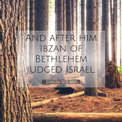 Picture 07 - Judges 12:8 KJV - And after him Ibzan of Bethlehem judged - Bible Verse Picture