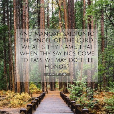 Picture 07 - Judges 13:17 KJV - And Manoah said unto the angel of the LORD, What - Bible Verse Picture