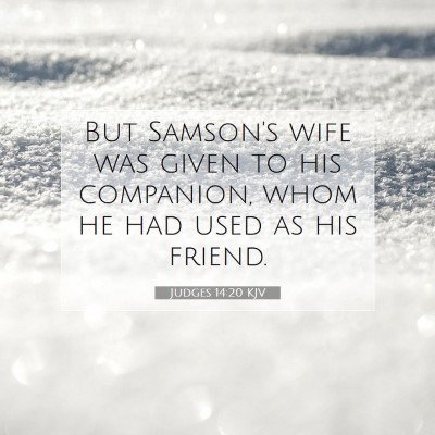 Picture 07 - Judges 14:20 KJV - But Samson's wife was given to his companion, - Bible Verse Picture