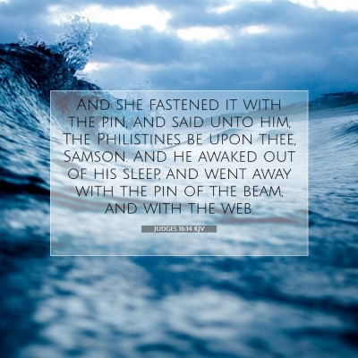 Picture 07 - Judges 16:14 KJV - And she fastened it with the pin, and said unto - Bible Verse Picture