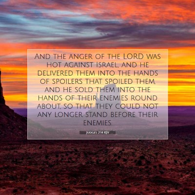 Picture 07 - Judges 2:14 KJV - And the anger of the LORD was hot against Israel, - Bible Verse Picture