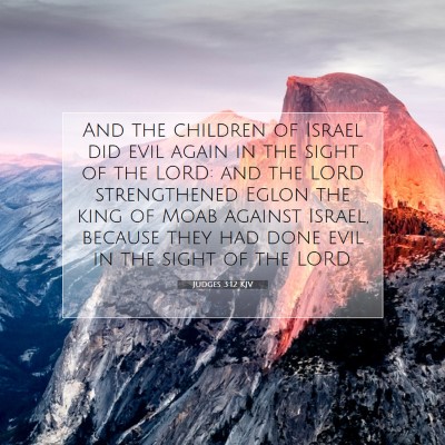 Picture 07 - Judges 3:12 KJV - And the children of Israel did evil again in the - Bible Verse Picture
