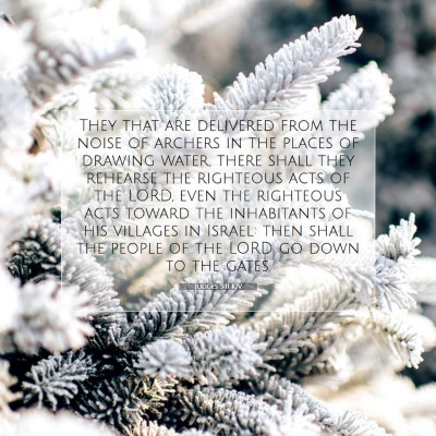 Picture 07 - Judges 5:11 KJV - They that are delivered from the noise of archers - Bible Verse Picture