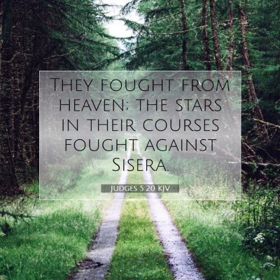 Picture 07 - Judges 5:20 KJV - They fought from heaven; the stars in their - Bible Verse Picture