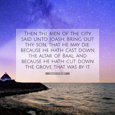 Picture 07 - Judges 6:30 KJV - Then the men of the city said unto Joash, Bring - Bible Verse Picture