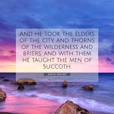 Picture 07 - Judges 8:16 KJV - And he took the elders of the city, and thorns of - Bible Verse Picture