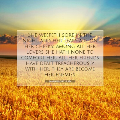 Picture 07 - Lamentations 1:2 KJV - She weepeth sore in the night, and her tears are - Bible Verse Picture