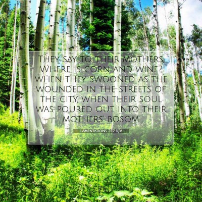 Picture 07 - Lamentations 2:12 KJV - They say to their mothers, Where is corn and - Bible Verse Picture