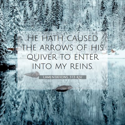 Picture 07 - Lamentations 3:13 KJV - He hath caused the arrows of his quiver to enter - Bible Verse Picture
