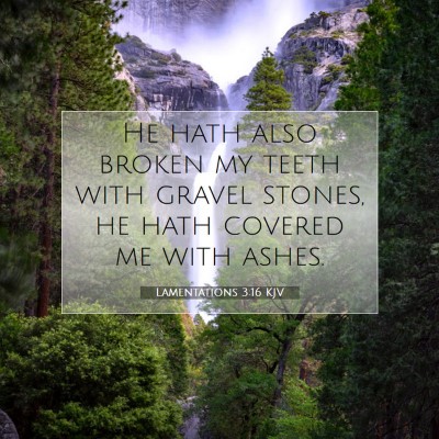 Picture 07 - Lamentations 3:16 KJV - He hath also broken my teeth with gravel stones, - Bible Verse Picture