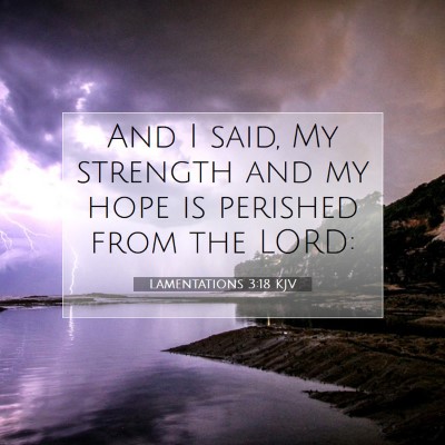 Picture 07 - Lamentations 3:18 KJV - And I said, My strength and my hope is perished - Bible Verse Picture