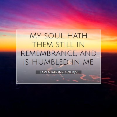 Picture 07 - Lamentations 3:20 KJV - My soul hath them still in remembrance, and is - Bible Verse Picture
