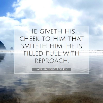 Picture 07 - Lamentations 3:30 KJV - He giveth his cheek to him that smiteth him: he - Bible Verse Picture