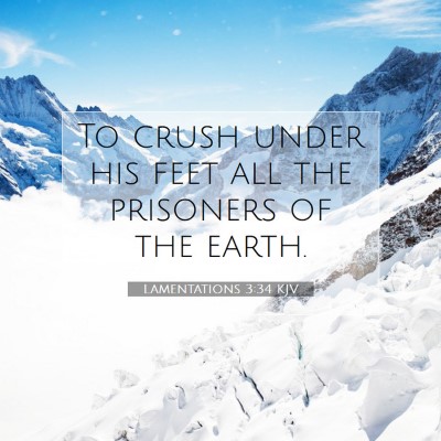 Picture 07 - Lamentations 3:34 KJV - To crush under his feet all the prisoners of the - Bible Verse Picture
