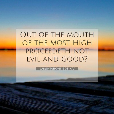 Picture 07 - Lamentations 3:38 KJV - Out of the mouth of the most High proceedeth not - Bible Verse Picture