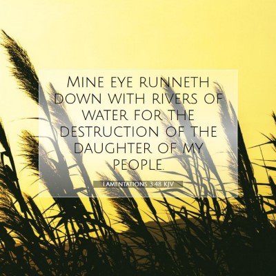 Picture 07 - Lamentations 3:48 KJV - Mine eye runneth down with rivers of water for - Bible Verse Picture