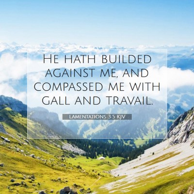 Picture 07 - Lamentations 3:5 KJV - He hath builded against me, and compassed me with - Bible Verse Picture