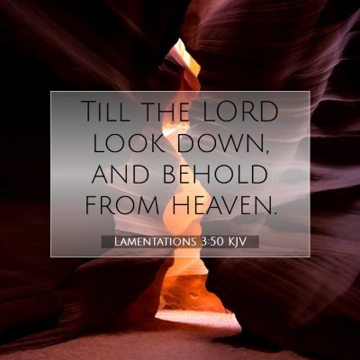 Picture 07 - Lamentations 3:50 KJV - Till the LORD look down, and behold from - Bible Verse Picture