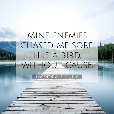 Picture 07 - Lamentations 3:52 KJV - Mine enemies chased me sore, like a bird, without - Bible Verse Picture