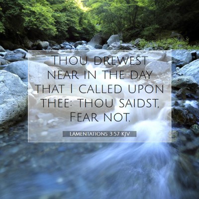 Picture 07 - Lamentations 3:57 KJV - Thou drewest near in the day that I called upon - Bible Verse Picture