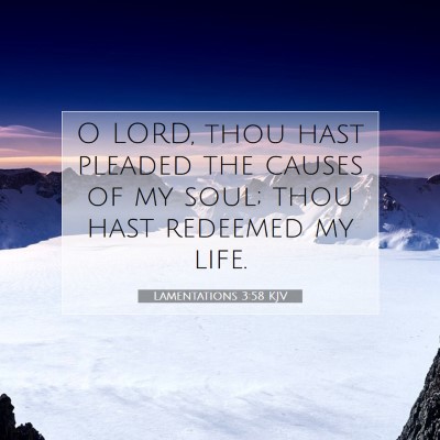 Picture 07 - Lamentations 3:58 KJV - O LORD, thou hast pleaded the causes of my soul; - Bible Verse Picture