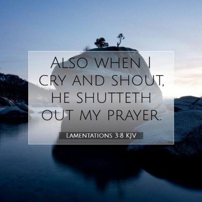 Picture 07 - Lamentations 3:8 KJV - Also when I cry and shout, he shutteth out my - Bible Verse Picture
