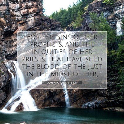 Picture 07 - Lamentations 4:13 KJV - For the sins of her prophets, and the iniquities - Bible Verse Picture