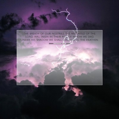 Picture 07 - Lamentations 4:20 KJV - The breath of our nostrils, the anointed of the - Bible Verse Picture