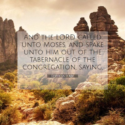 Picture 07 - Leviticus 1:1 KJV - And the LORD called unto Moses, and spake unto - Bible Verse Picture