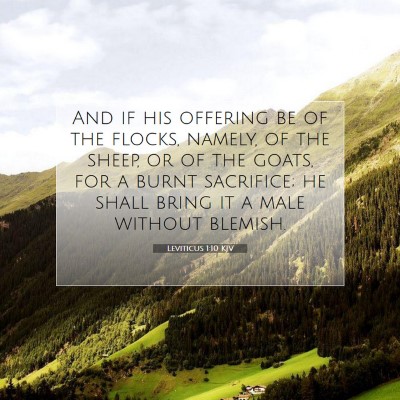 Picture 07 - Leviticus 1:10 KJV - And if his offering be of the flocks, namely, of - Bible Verse Picture