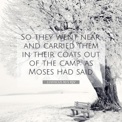 Picture 07 - Leviticus 10:5 KJV - So they went near, and carried them in their - Bible Verse Picture