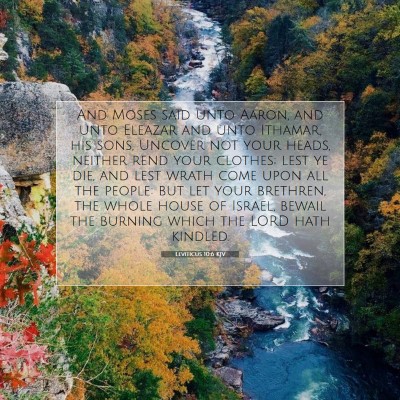 Picture 07 - Leviticus 10:6 KJV - And Moses said unto Aaron, and unto Eleazar and - Bible Verse Picture