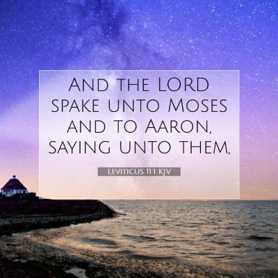 Picture 07 - Leviticus 11:1 KJV - And the LORD spake unto Moses and to Aaron, - Bible Verse Picture