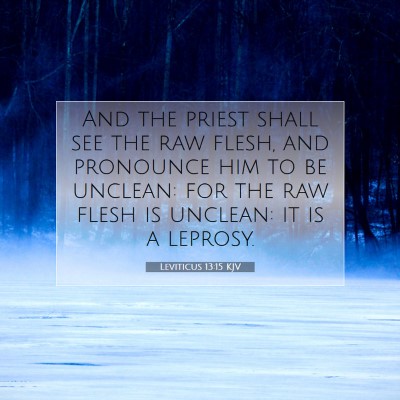 Picture 07 - Leviticus 13:15 KJV - And the priest shall see the raw flesh, and - Bible Verse Picture