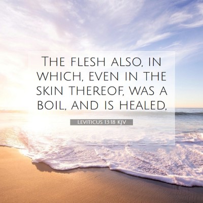 Picture 07 - Leviticus 13:18 KJV - The flesh also, in which, even in the skin - Bible Verse Picture