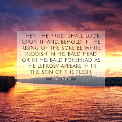 Picture 07 - Leviticus 13:43 KJV - Then the priest shall look upon it: and, behold, - Bible Verse Picture