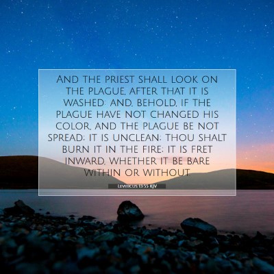 Picture 07 - Leviticus 13:55 KJV - And the priest shall look on the plague, after - Bible Verse Picture
