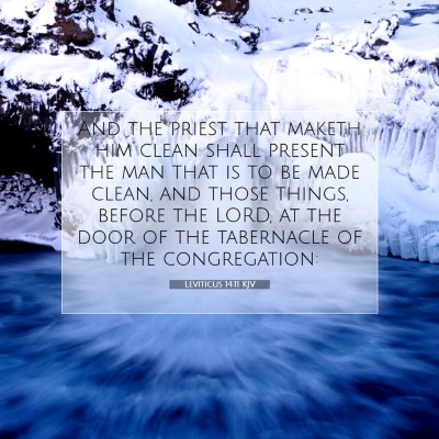 Picture 07 - Leviticus 14:11 KJV - And the priest that maketh him clean shall - Bible Verse Picture