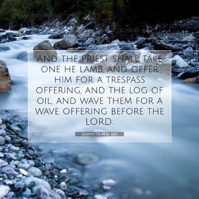 Picture 07 - Leviticus 14:12 KJV - And the priest shall take one he lamb, and offer - Bible Verse Picture
