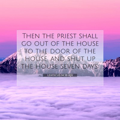 Picture 07 - Leviticus 14:38 KJV - Then the priest shall go out of the house to the - Bible Verse Picture