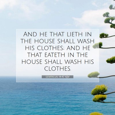 Picture 07 - Leviticus 14:47 KJV - And he that lieth in the house shall wash his - Bible Verse Picture