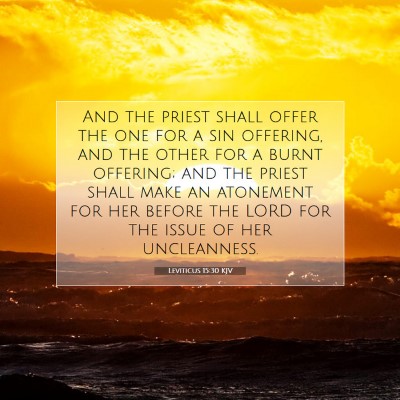 Picture 07 - Leviticus 15:30 KJV - And the priest shall offer the one for a sin - Bible Verse Picture
