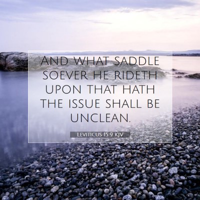 Picture 07 - Leviticus 15:9 KJV - And what saddle soever he rideth upon that hath - Bible Verse Picture